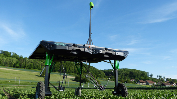 Robot de désherbage