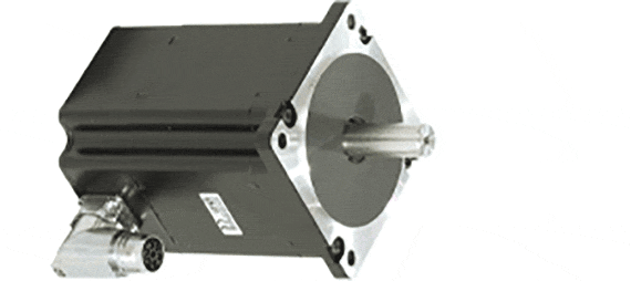 Motor with connector plug