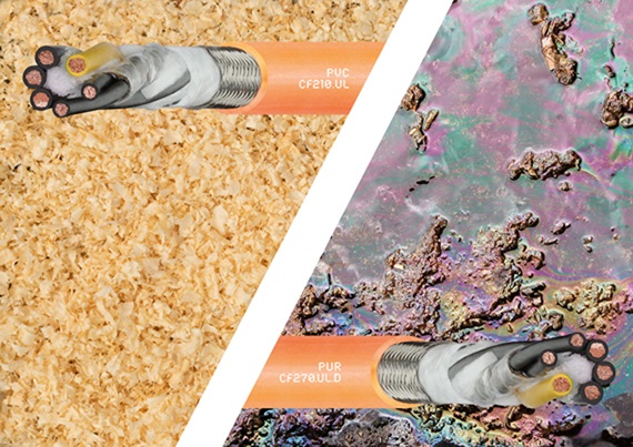 Séminaire en ligne bilan prix