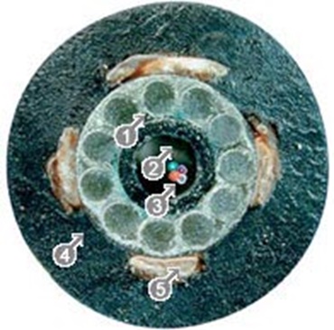 Câbles à fibres optiques