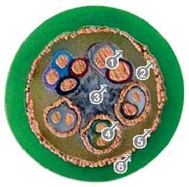 Câbles de mesure, version blindée