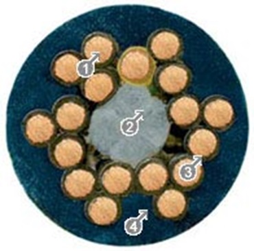 Câbles de commandes, version sans blindage