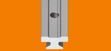 Rail drylin T standard