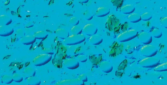 Polymères de base avec fibres et lubrifiants solides grossis 200 fois et colorés